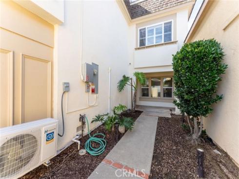 21  Queens Wreath  , Irvine, CA