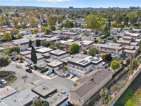 21  Queens Wreath  , Irvine, CA