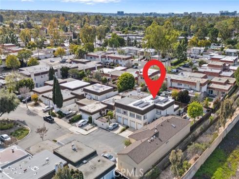 21  Queens Wreath  , Irvine, CA