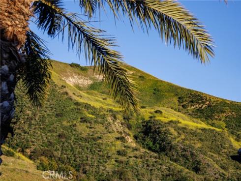 170  Leafy Pass  , Irvine, CA