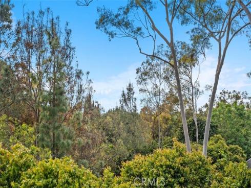 1 Rainbow Falls , Irvine, CA