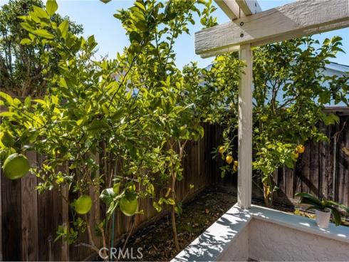 6  Whitecloud  , Irvine, CA