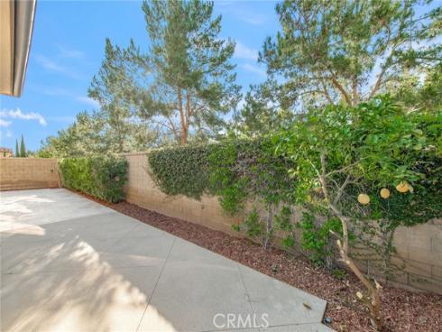 79  Field Poppy  , Irvine, CA