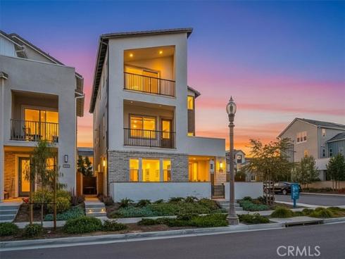 427  Flycatcher  , Irvine, CA