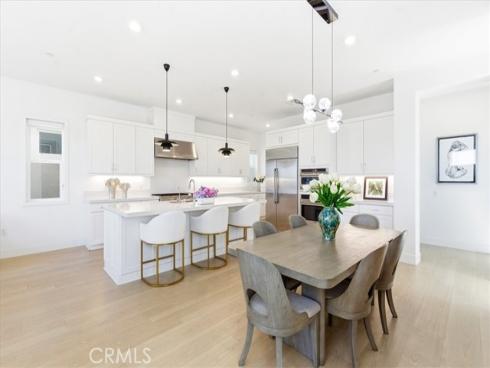 427  Flycatcher  , Irvine, CA