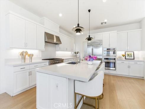 427  Flycatcher  , Irvine, CA