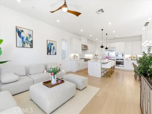 427  Flycatcher  , Irvine, CA