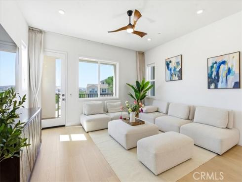 427  Flycatcher  , Irvine, CA