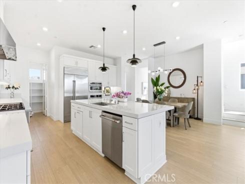 427  Flycatcher  , Irvine, CA