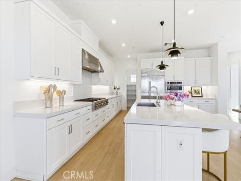 427  Flycatcher  , Irvine, CA