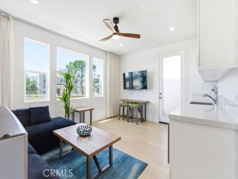 427  Flycatcher  , Irvine, CA