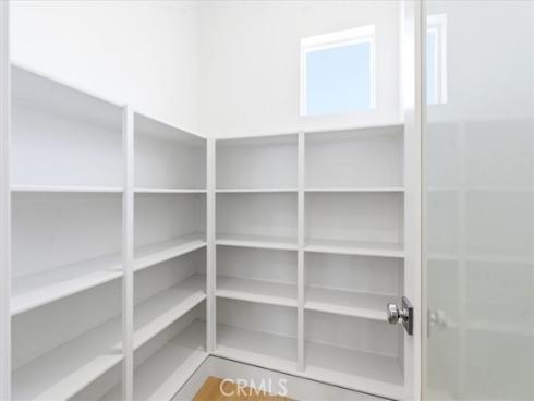 427  Flycatcher  , Irvine, CA