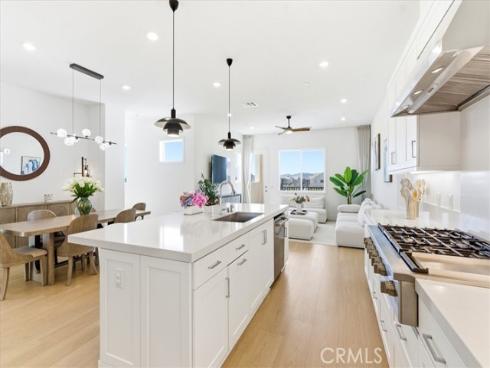 427  Flycatcher  , Irvine, CA