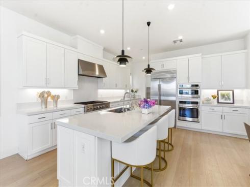 427  Flycatcher  , Irvine, CA