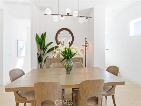 427  Flycatcher  , Irvine, CA