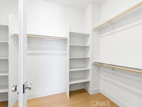 427  Flycatcher  , Irvine, CA