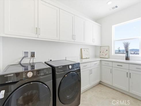 427  Flycatcher  , Irvine, CA