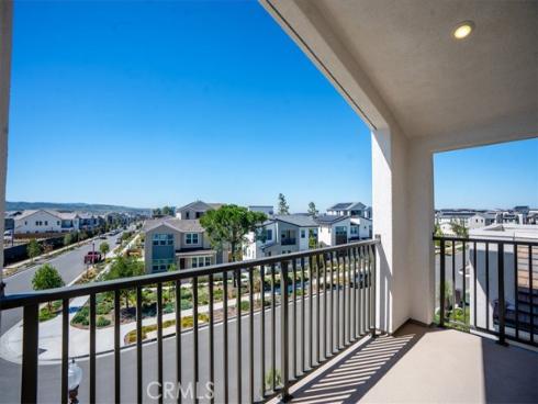 427  Flycatcher  , Irvine, CA