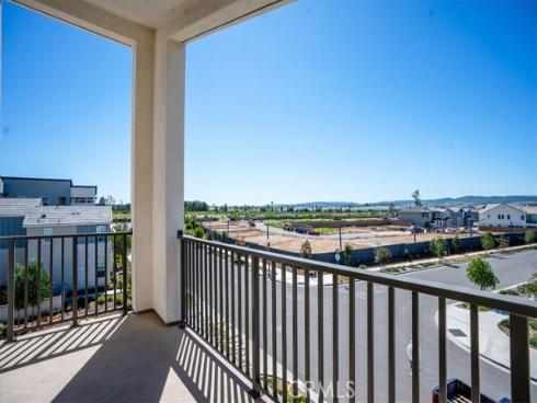 427  Flycatcher  , Irvine, CA