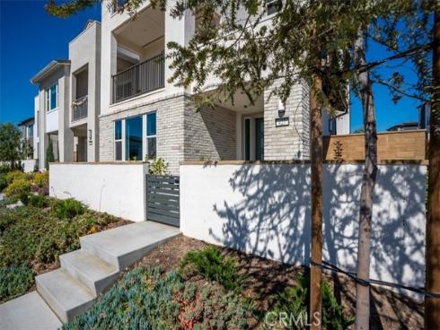 427  Flycatcher  , Irvine, CA