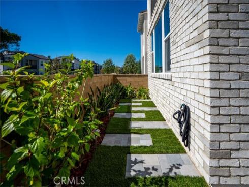 427  Flycatcher  , Irvine, CA