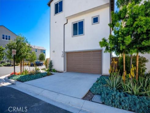 427  Flycatcher  , Irvine, CA