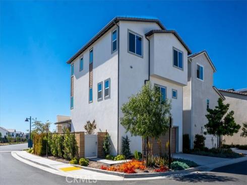 427  Flycatcher  , Irvine, CA