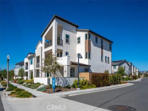 427  Flycatcher  , Irvine, CA