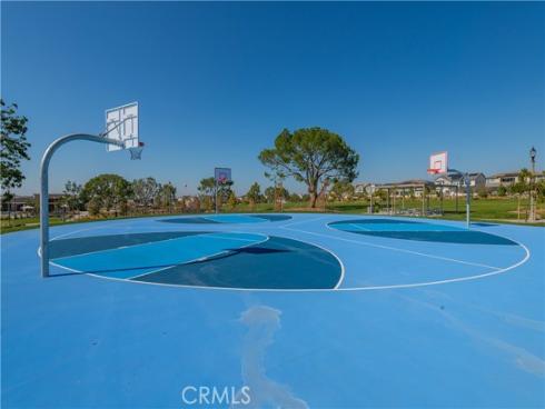 427  Flycatcher  , Irvine, CA