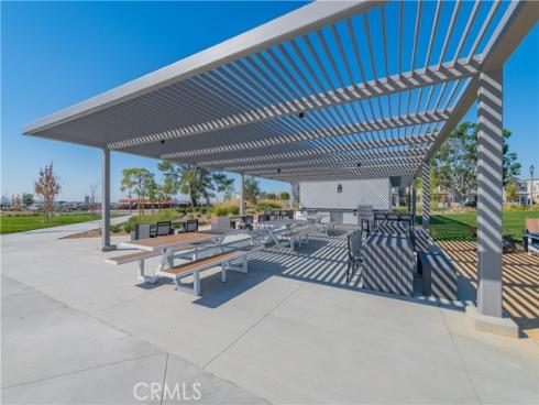 427  Flycatcher  , Irvine, CA