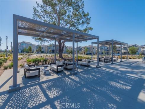 427  Flycatcher  , Irvine, CA