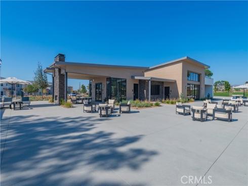 427  Flycatcher  , Irvine, CA