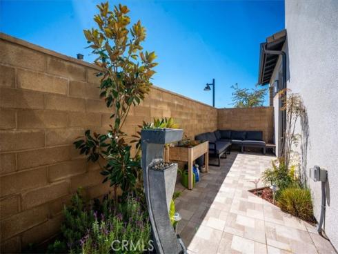 427  Flycatcher  , Irvine, CA