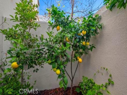 165  Frame  , Irvine, CA