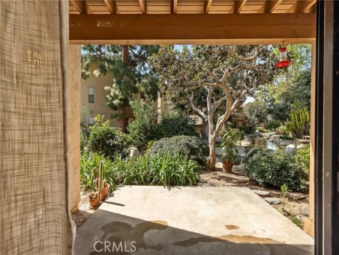 120  Lemon  34 , Irvine, CA