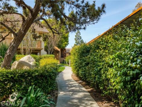 120  Lemon  34 , Irvine, CA
