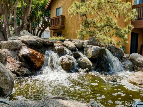 120  Lemon  34 , Irvine, CA