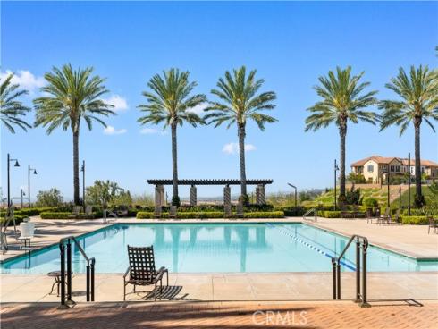 128  Spotted Quail  , Irvine, CA