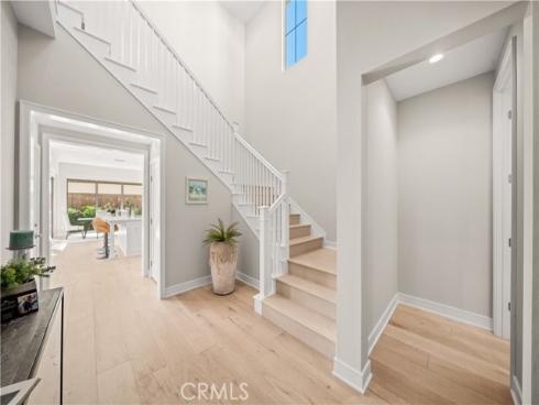 128  Spotted Quail  , Irvine, CA