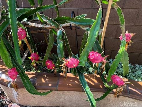 3  Ardmore  , Irvine, CA