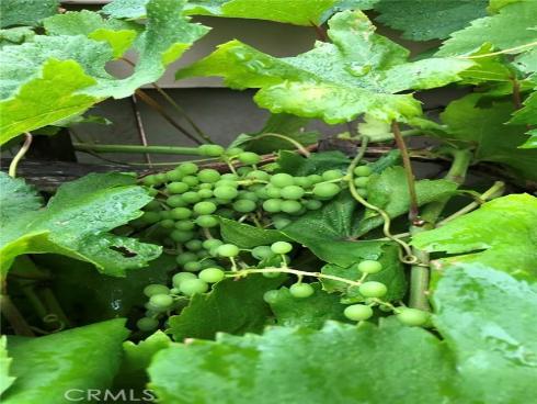 3  Ardmore  , Irvine, CA