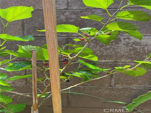 3  Ardmore  , Irvine, CA