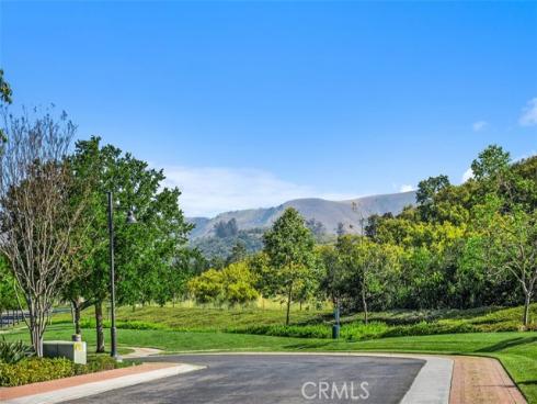 53  Painted Cameo  , Irvine, CA