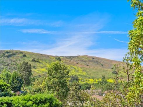 115  Bottlebrush  , Irvine, CA