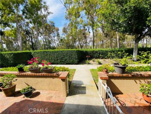 26  Georgetown  , Irvine, CA