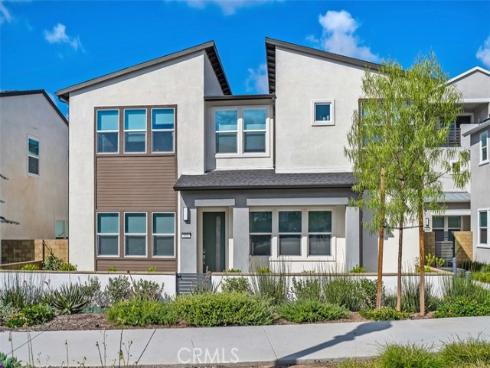 412  Flycatcher  , Irvine, CA