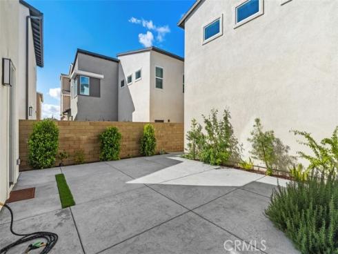 412  Flycatcher  , Irvine, CA