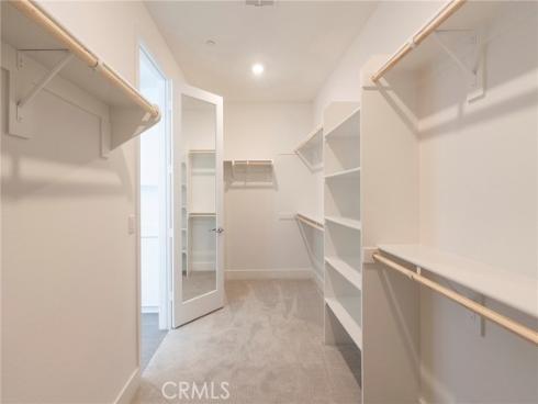 412  Flycatcher  , Irvine, CA