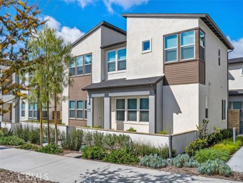 412  Flycatcher  , Irvine, CA