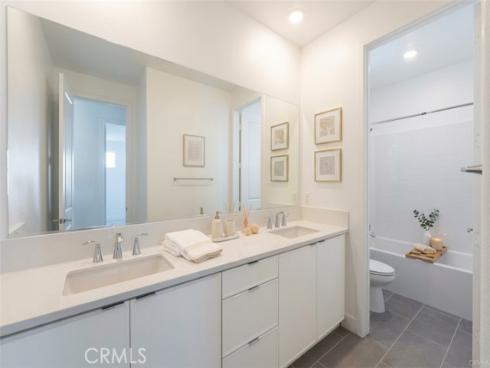 412  Flycatcher  , Irvine, CA